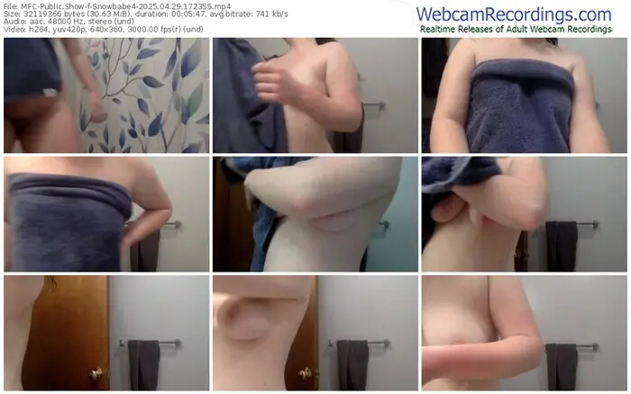 2025/04/29/mfc-snowbabe4-17-23-55