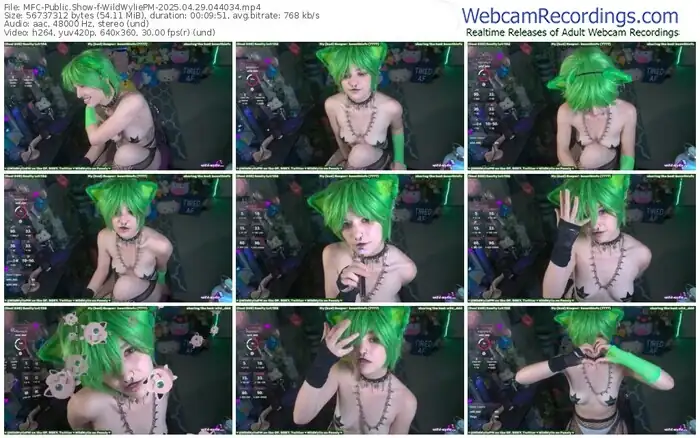 2025/04/29/mfc-wildwyliepm-04-40-34