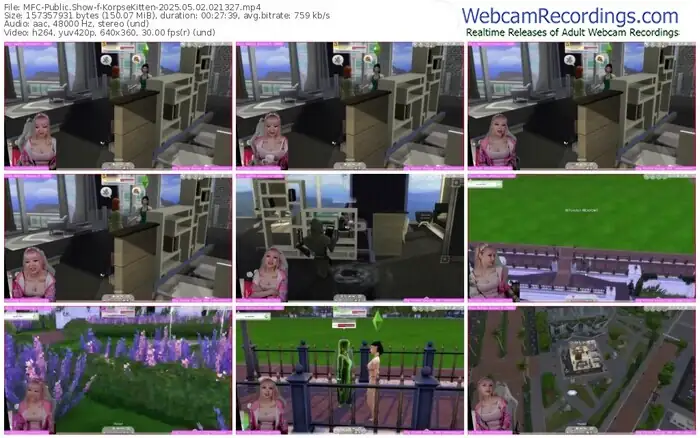 2025/05/02/mfc-korpsekitten-02-13-27