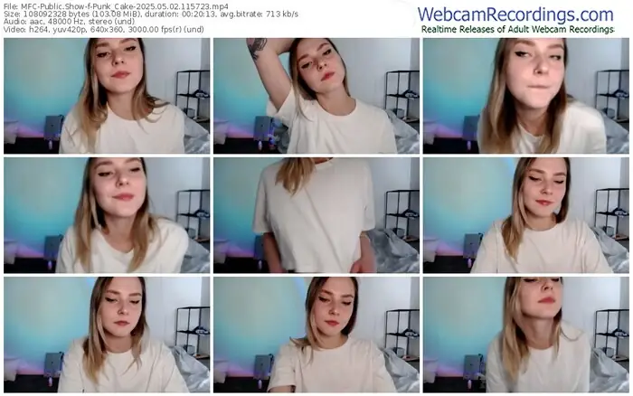 2025/05/02/mfc-punk_cake-11-57-23