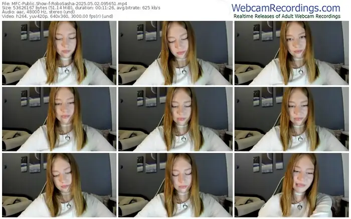 2025/05/02/mfc-robosasha-09-56-51