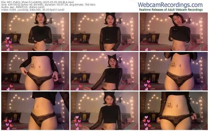 2025/05/05/mfc-cutekitty-00-18-14