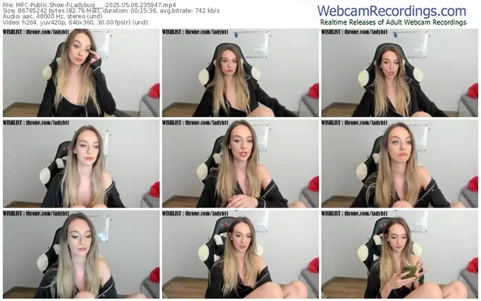 2025/05/06/mfc-ladybug___-23-59-47