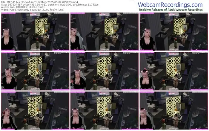 2025/05/07/mfc-korpsekitten-01-50-23