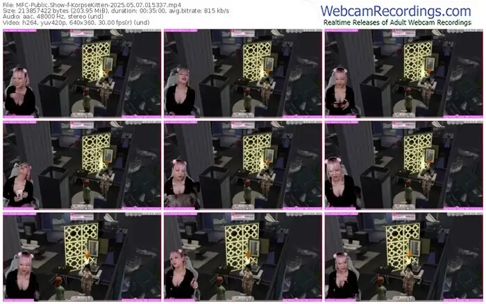 2025/05/07/mfc-korpsekitten-01-53-37