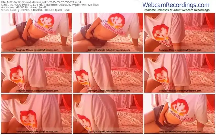 2025/05/07/mfc-maneki_neko-05-56-21