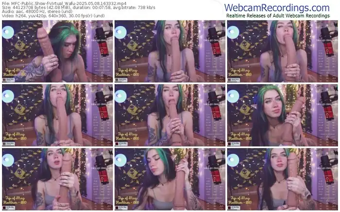 2025/05/08/mfc-virtual_wafu-16-33-32