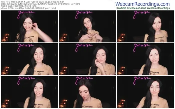 2025/05/10/mfc-lucy_goose-03-51-36