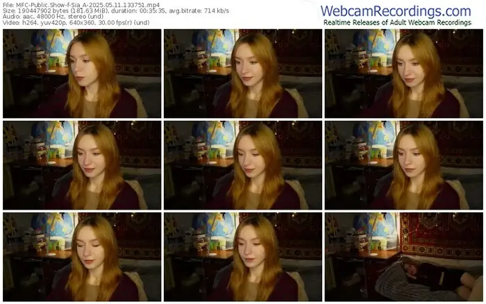 2025/05/11/mfc-sia_a-13-37-51