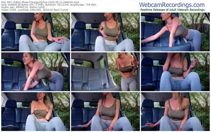 2025/05/11/mfc-yourguiltypus-08-40-34
