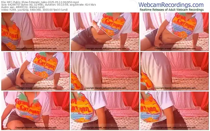 2025/05/12/mfc-maneki_neko-06-29-50