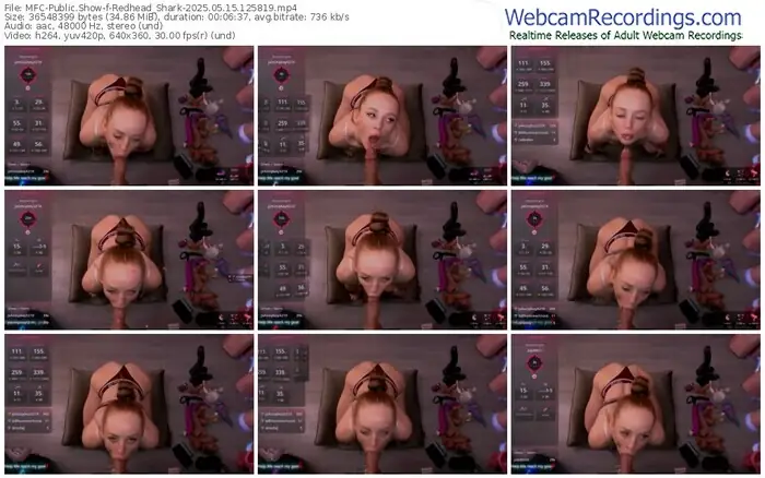 2025/05/15/mfc-redhead_shark-12-58-19
