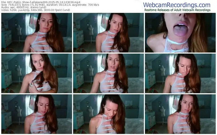 2025/05/16/mfc-ellakane699-16-30-36