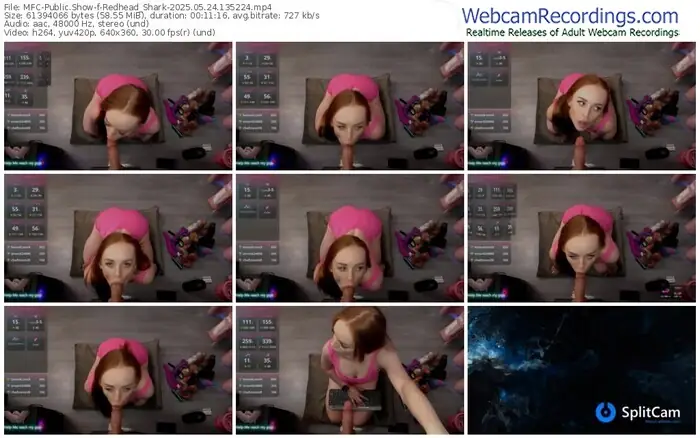 2025/05/24/mfc-redhead_shark-13-52-24