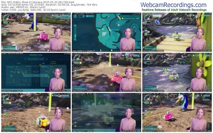 2025/05/25/mfc-catwave-06-17-28