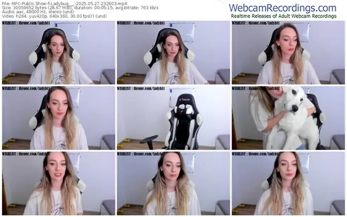 2025/05/27/mfc-ladybug___-23-26-03