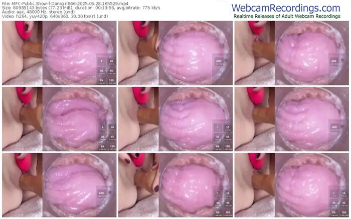 2025/05/28/mfc-danigirl866-16-55-29
