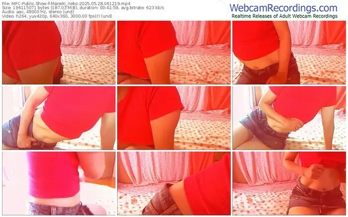 2025/05/28/mfc-maneki_neko-06-12-19