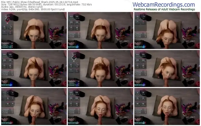 2025/05/28/mfc-redhead_shark-13-27-14