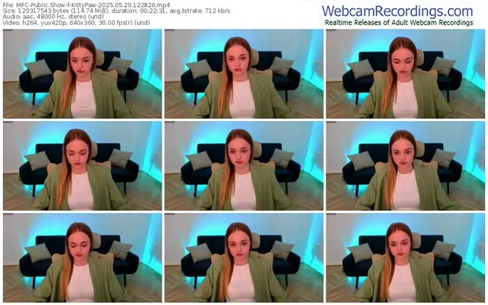 2025/05/29/mfc-kittypaw-12-28-26