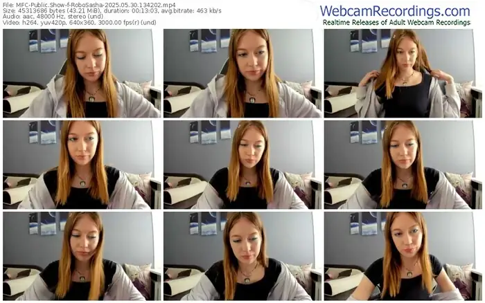 2025/05/30/mfc-robosasha-13-42-02