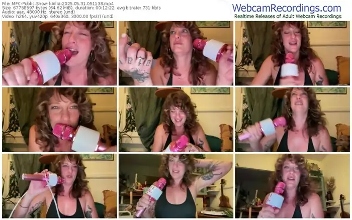 2025/05/31/mfc-ailia-05-11-38