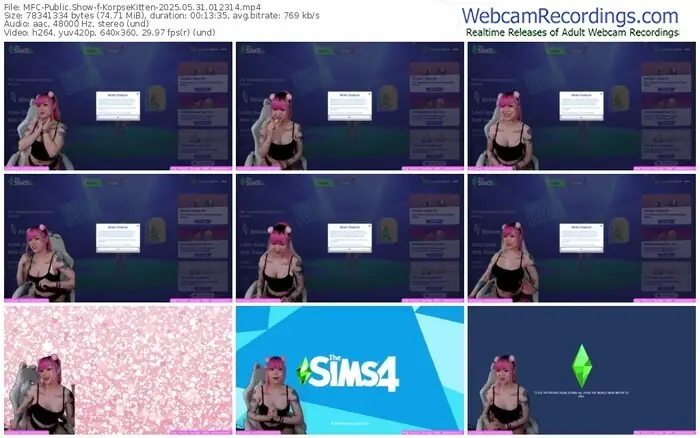 2025/05/31/mfc-korpsekitten-01-23-14