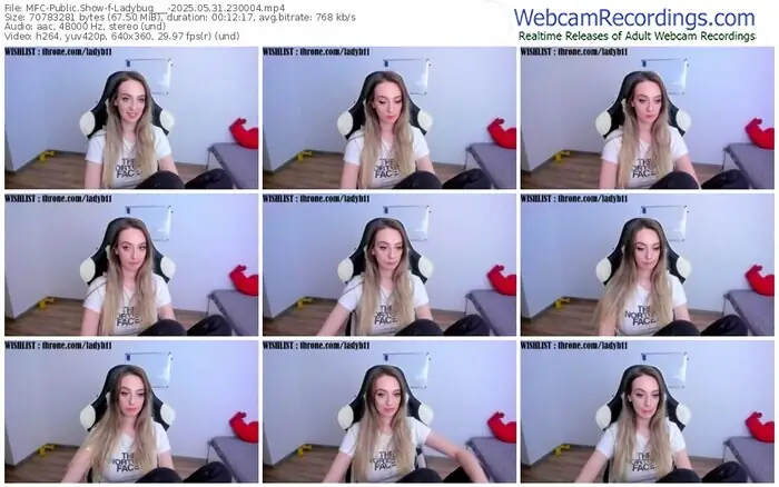 2025/05/31/mfc-ladybug___-23-00-04