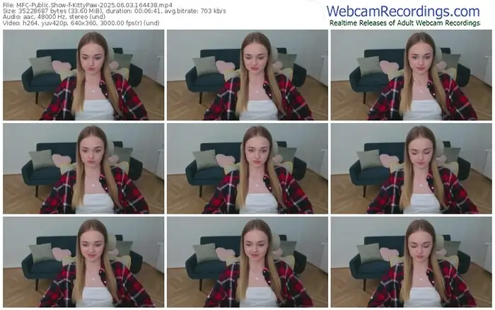 2025/06/03/mfc-kittypaw-16-44-38