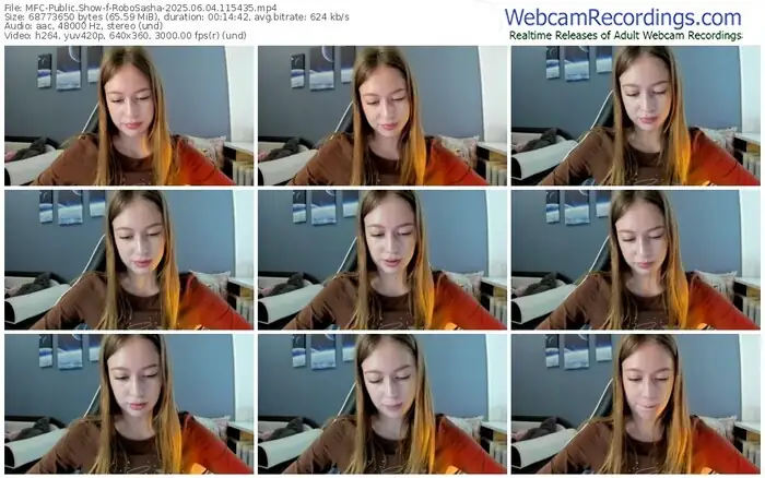 2025/06/04/mfc-robosasha-11-54-35