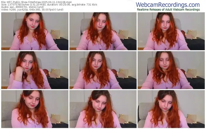 2025/06/11/mfc-mefistaa-13-42-28