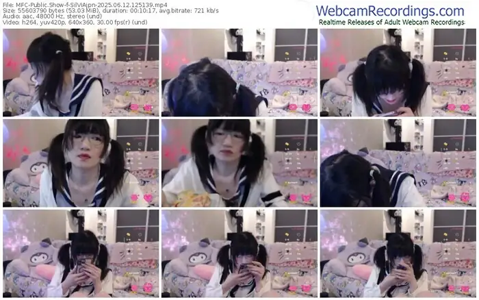 2025/06/12/mfc-silviajpn-12-51-39