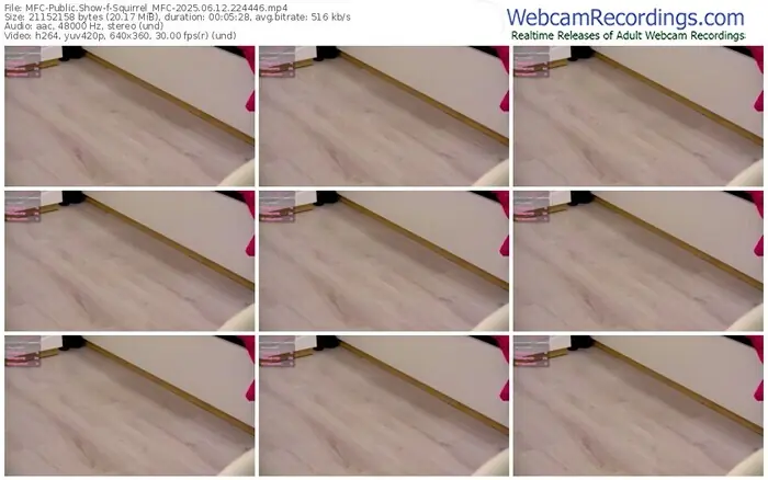 2025/06/12/mfc-squirrel_mfc-22-44-46