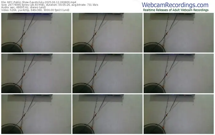 2025/06/12/mfc-exoticlulu-09-38-00