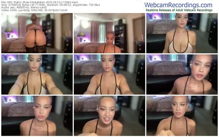 2025/06/13/mfc-nalafalon-17-28-42