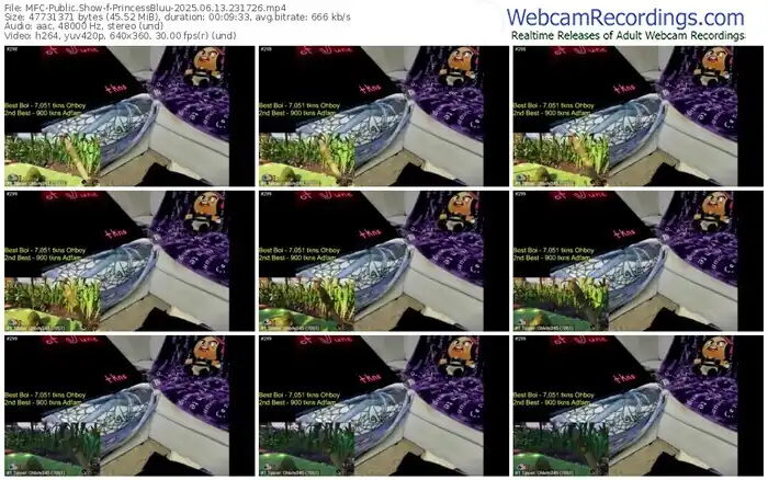 2025/06/13/mfc-princessbluu-23-17-26