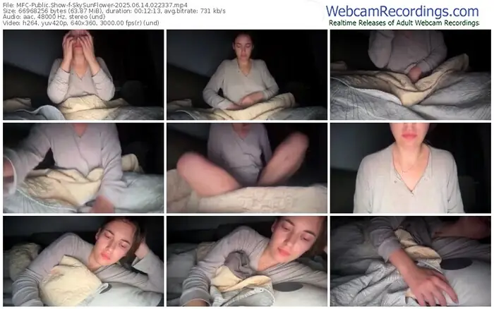 2025/06/14/mfc-skysunflower-02-23-37