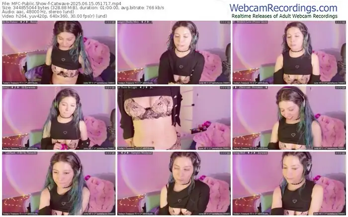 2025/06/15/mfc-catwave-05-17-17