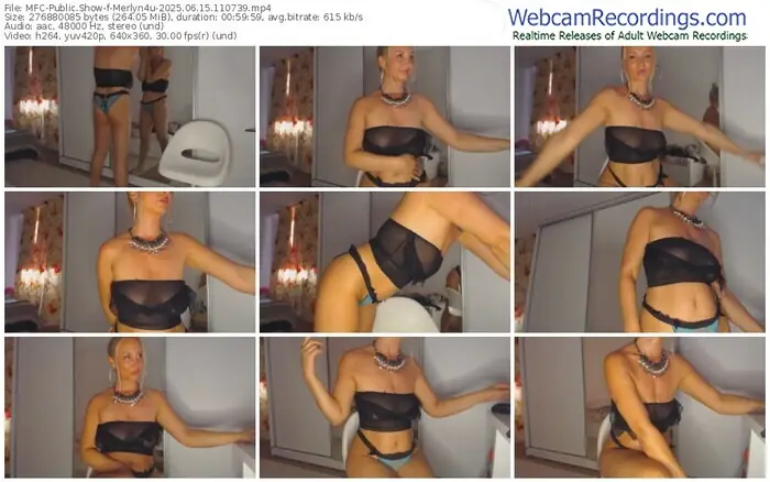 2025/06/15/mfc-merlyn4u-11-07-39