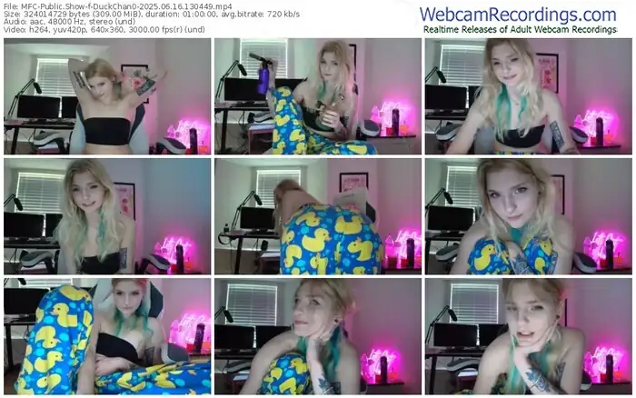 2025/06/16/mfc-duckchan0-13-04-49