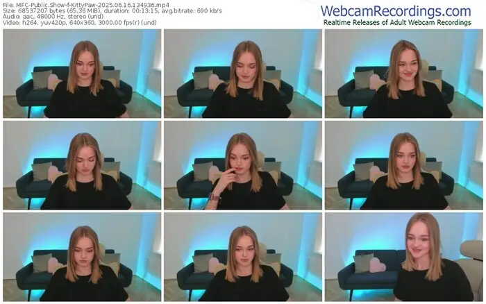 2025/06/16/mfc-kittypaw-13-49-36