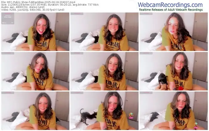 2025/06/18/mfc-ablackbee-20-40-37