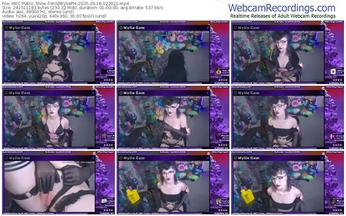 2025/06/18/mfc-wildwyliepm-02-20-21