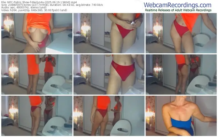 2025/06/19/mfc-merlyn4u-13-40-42