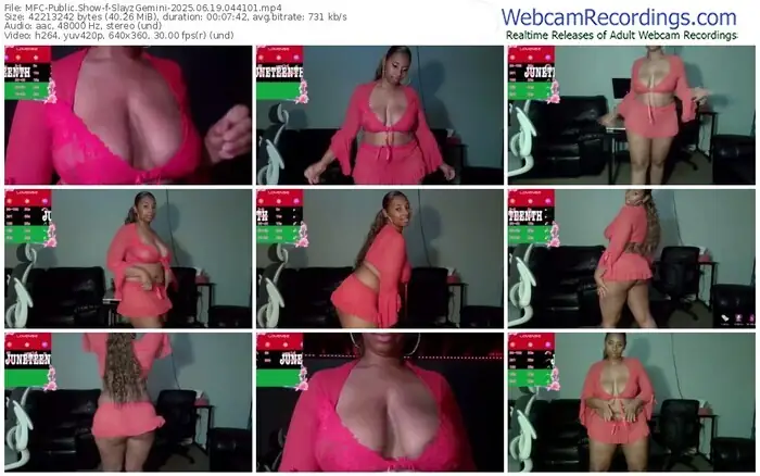 2025/06/19/mfc-slayzgemini-04-41-01