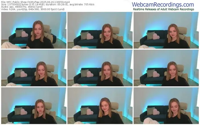 2025/06/20/mfc-kittypaw-13-00-59