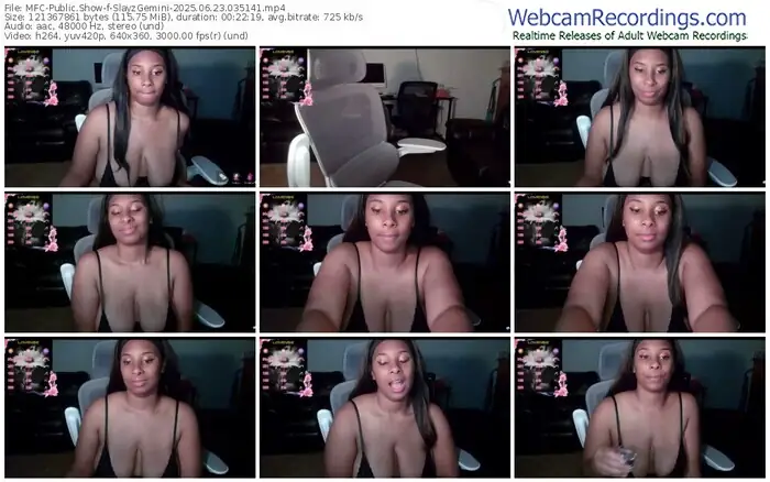 2025/06/23/mfc-slayzgemini-03-51-41