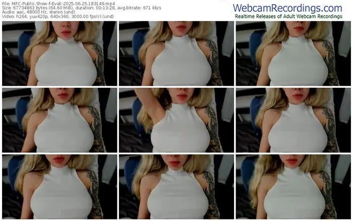 2025/06/25/mfc-evali-18-31-49