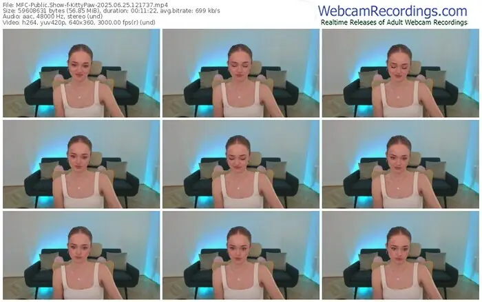 2025/06/25/mfc-kittypaw-12-17-37