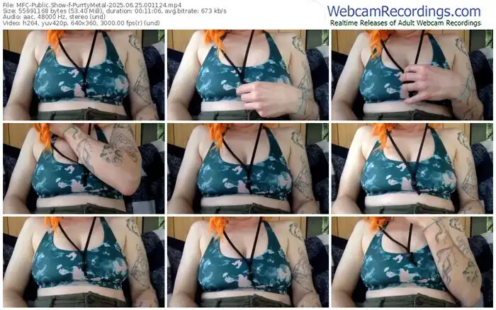 2025/06/25/mfc-purrtymetal-00-11-24